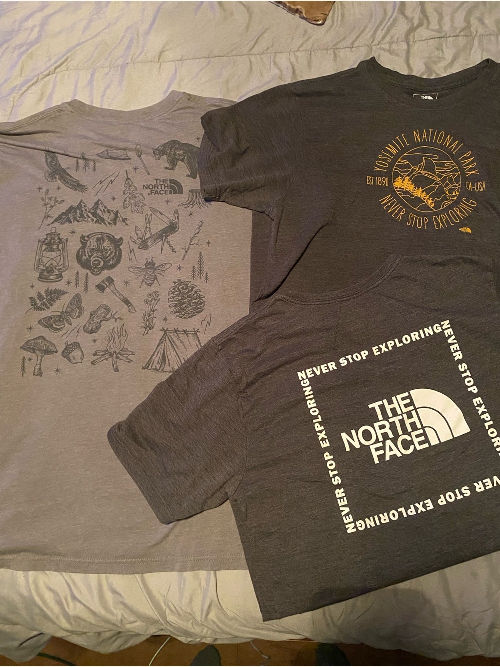 The North Face Mens Gray Graphic Tee - Never Stop Exploring